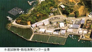 高知県水産試験場 高知県水産試験場