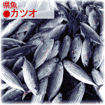 県魚カツオ 県花カツオ