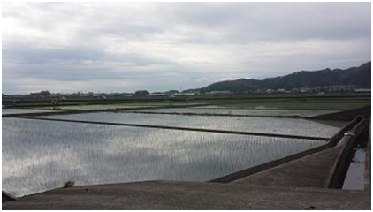 稲生地区の田園風景