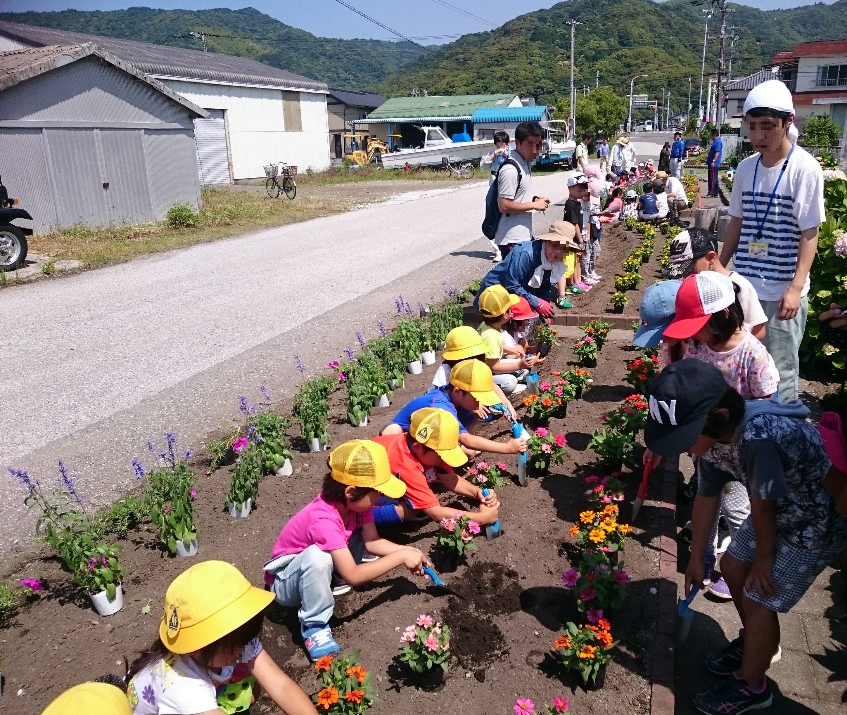 6月小学生との花植