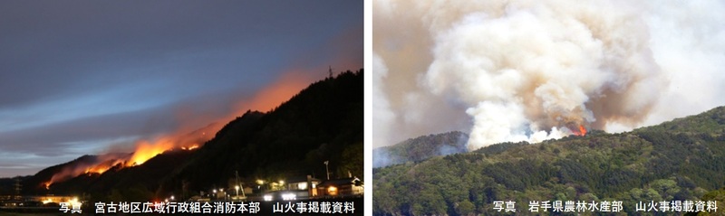 林野火災写真