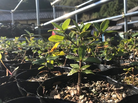 image8 image8